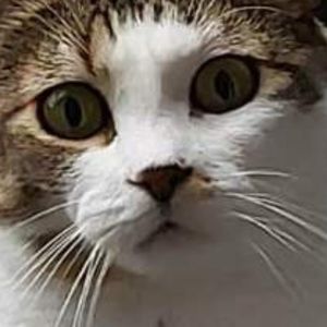 Meet your Posher, Kara